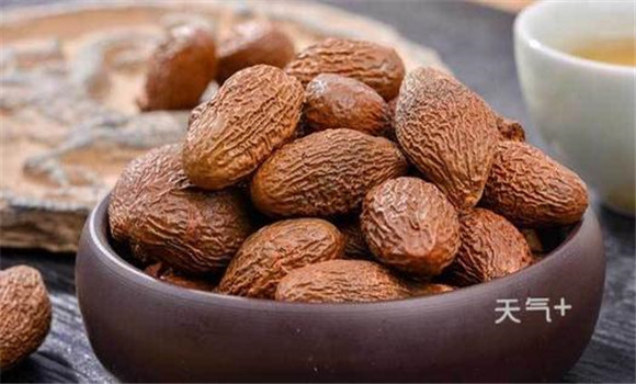 胖大海有降壓利尿、抗菌消炎的功效