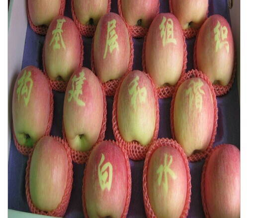 蘋(píng)果的作用