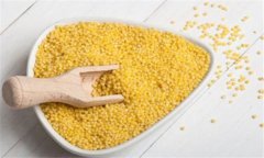 粟米是什么米？粟米的功效與作用及食用方法