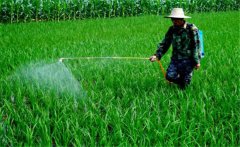如何合理使用農(nóng)藥，把握好這六點(diǎn)就夠了