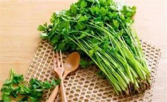 什么是食物的辛酸甘苦咸？各類(lèi)食物的作用特點(diǎn)