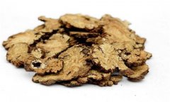 川芎的性能、主治、臨床應(yīng)用及用藥注意事項(xiàng)