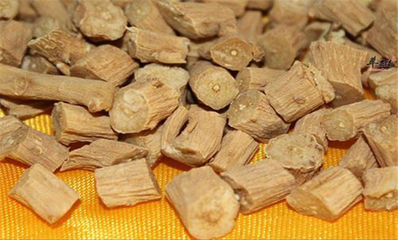 牛膝的用法，用量與禁忌