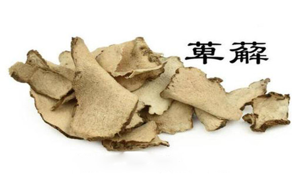 萆薢的用法，用量與禁忌