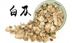白及的產地是哪里？白及的用法、用量與禁忌