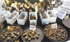 怎樣安全貯存蔬菜種子？蔬菜種子知識