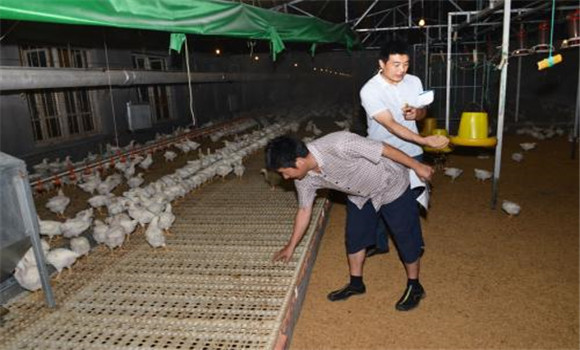 無污染、零排放
