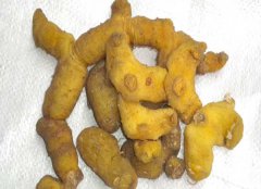 黃精的產(chǎn)地有哪些？