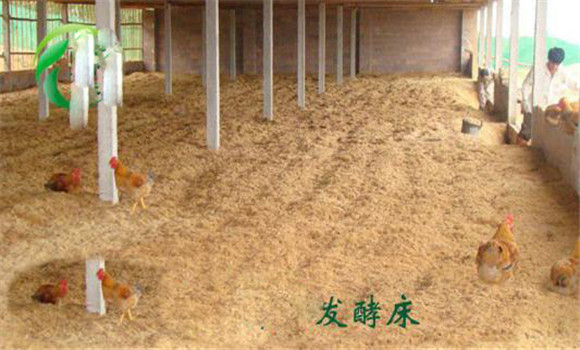 提升空氣質(zhì)量，減輕呼吸道炎癥等疾病
