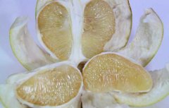 糖尿病人吃什么水果好，糖尿病人不宜吃的食物