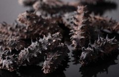 如何選購干海參？干海參的發(fā)泡方法