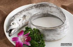 帶魚(yú)的產(chǎn)地、分布生活習(xí)性與品種分類(lèi)