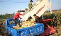 選購(gòu)和使用玉米收獲機(jī)應(yīng)注意的問題