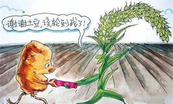 改善栽培制度，合理輪作
