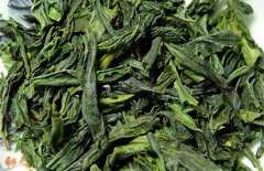 六安瓜片什么時候上市