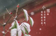 小雪節(jié)氣是什么意思，小雪節(jié)氣吃什么食品？