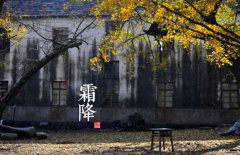 寒露是什么意思，寒露的氣候特征有哪些？