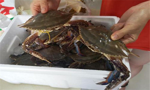 螃蟹屬于海鮮嗎？
