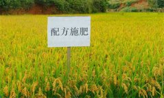 測土配方施肥的意義、作用