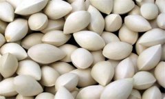 白果的功效與作用及食用方法、禁忌
