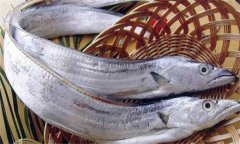 帶魚發(fā)黃能吃嗎？帶魚表面發(fā)黃的原因是什么