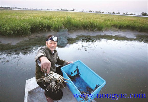 水源充足、水質(zhì)清新無(wú)污染