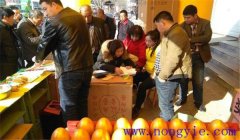 選購種子應該注意什么 購買種子注意事項