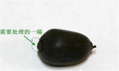 碗蓮的種植方法帶圖，碗蓮的種植方法與技術(shù)