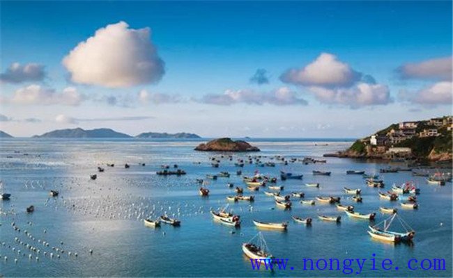 舟山漁場位于哪個(gè)海域