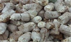 食用菌菌糠的營養(yǎng)成分、用途與再利用前景分析