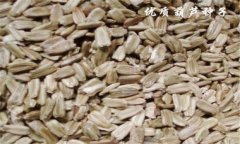 葫蘆種子價格是多少 葫蘆種子多少錢？
