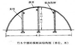 塑料中棚加外覆蓋能明顯使蔬菜早熟，效益高