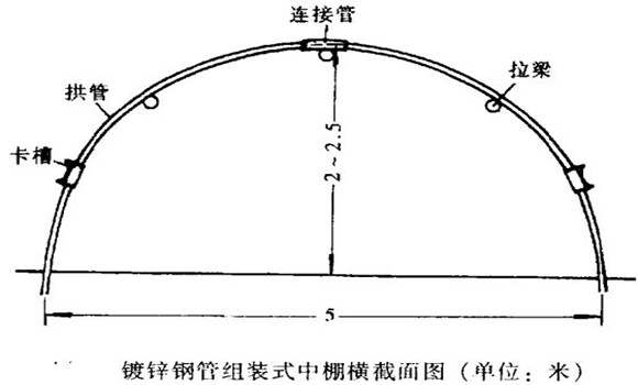 塑料中棚加外覆蓋能明顯使蔬菜早熟，效益高