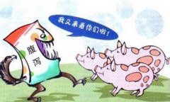 豬流行性腹瀉怎么治療、預(yù)防與防治要點(diǎn)有哪些
