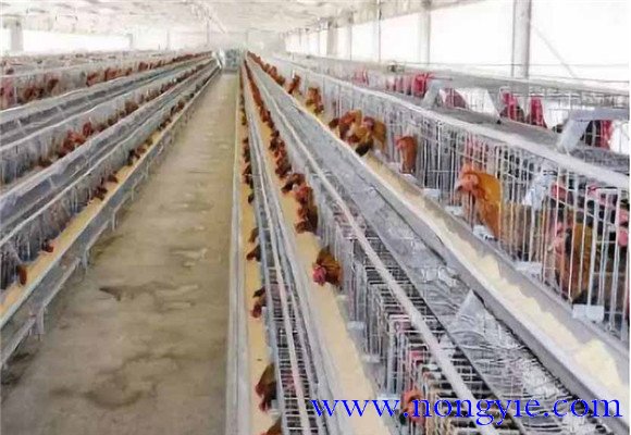 保溫、防暑和通風(fēng)性能好
