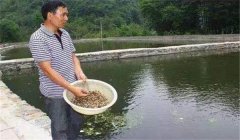 魚塘如何施肥？魚塘施肥技術(shù)的三個(gè)要點(diǎn)