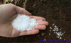 用尿素喂牛的方法，尿素喂牛應(yīng)注意的問(wèn)題