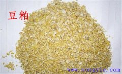 怎樣用豆粕喂牛，豆粕和豆餅喂牛效果一樣嗎？