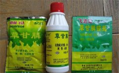 草甘膦除草劑使用范圍，使用多久能生效？