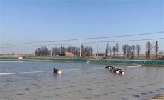 青蟹養(yǎng)殖技術(shù)與管理方法，青蟹養(yǎng)殖的注意事項