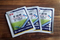 如何正確使用多效唑，用多了發(fā)生藥害怎么辦？