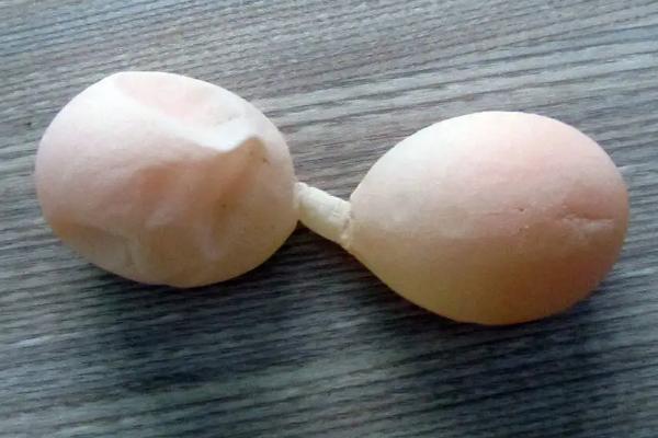 雞下軟蛋怎么辦、如何防治