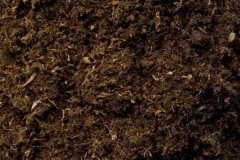 什么是基質(zhì)土 基質(zhì)土的配制方法是什么？