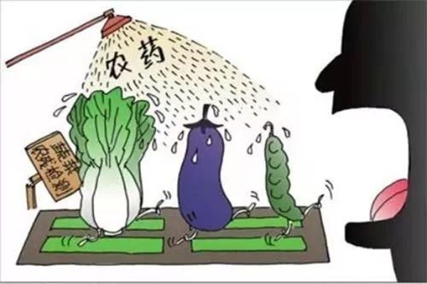 怎樣合理使用農(nóng)藥，防止農(nóng)藥對蔬菜的污染