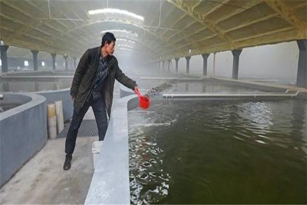 pH值。表示水的酸堿度
