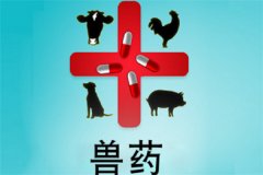 獸藥屬于藥品嗎？獸藥與人用藥的區(qū)別是什么？