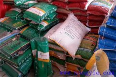 如何選小麥種子？這六個方面要考慮清楚！