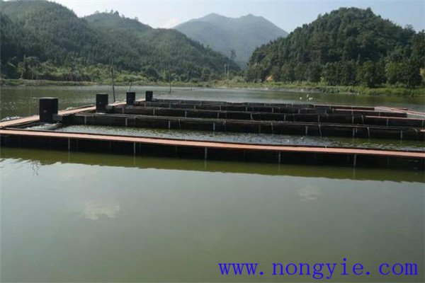 科學(xué)使用藥物，預(yù)防疾病發(fā)生