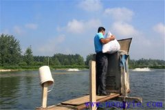 如何讓魚安全越冬，并降低魚體越冬期失重