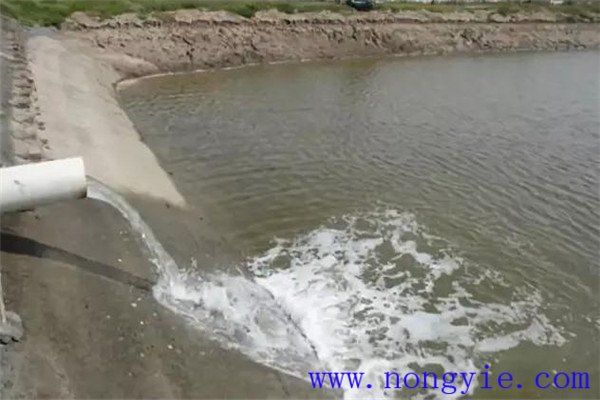 定期沖換水，保讓魚塘水質(zhì)